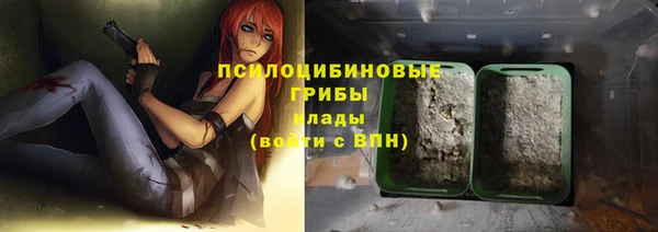 гидра Алзамай