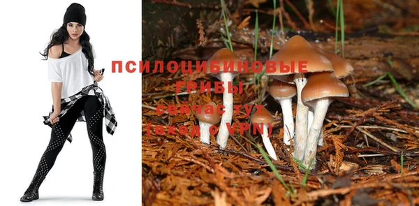 гидра Алзамай
