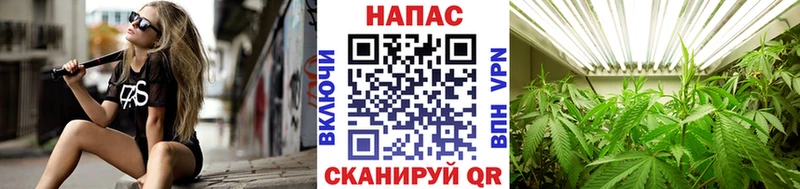Бошки марихуана VHQ  наркота  Бабушкин 